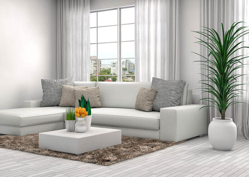 Nettoyage professionnel